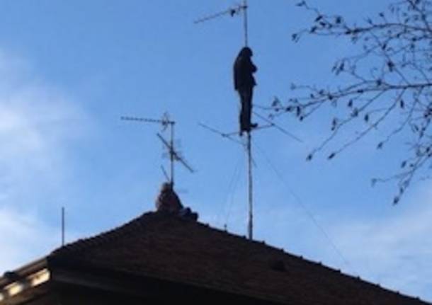 telos saronno sgombero apertura gennaio 2014