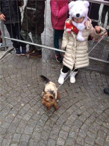 UNa benedizione sotto la pioggia per animali e padroni (inserita in galleria)