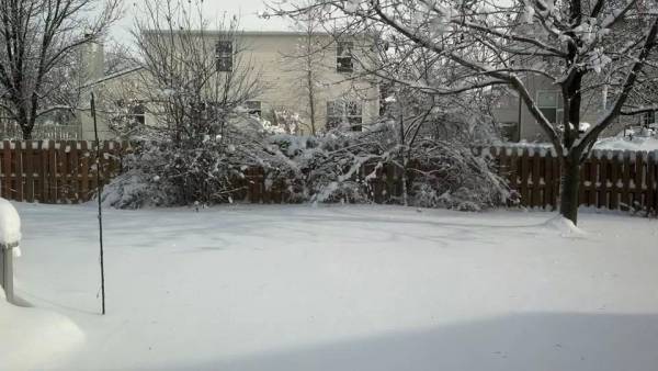 Usa al gelo, le foto dei varesini (inserita in galleria)