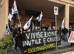 Animalisti manifestano davanti ai laboratori dell'Insubria (inserita in galleria)