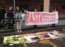 Animalisti manifestano davanti ai laboratori dell'Insubria (inserita in galleria)