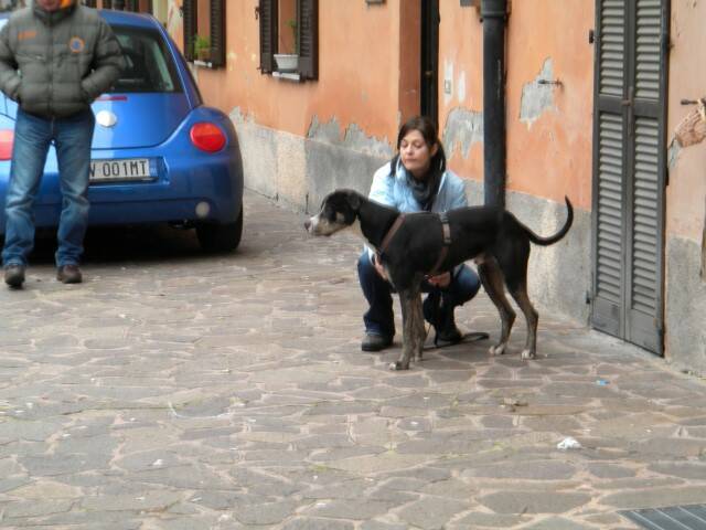 DSCN0105