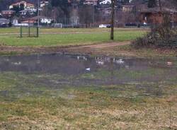 Fuoriuscita liquami a Porto Ceresio (inserita in galleria)