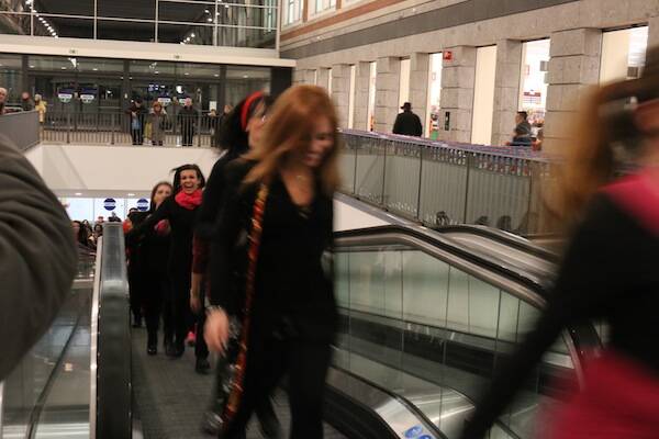 IMG 4251