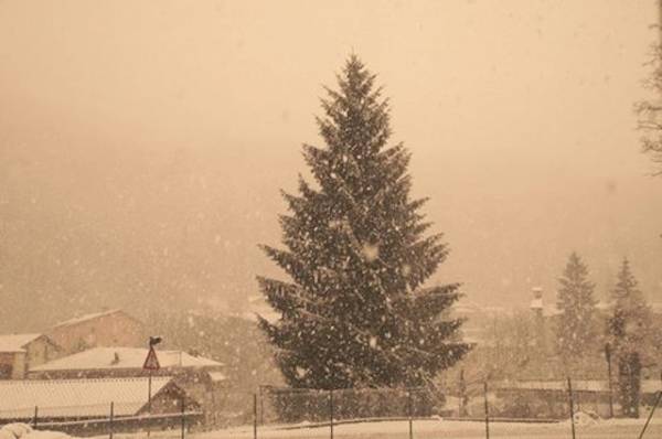 Nevica in Valmarchirolo (inserita in galleria)