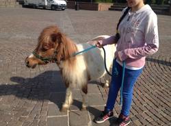 Bimbi a cavallo In piazza Repubblica (inserita in galleria)