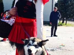 Carnevale a Castiglione Olona (inserita in galleria)