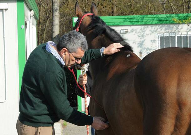 Il Barbero, Trofeo Legnanonews marzo 2014