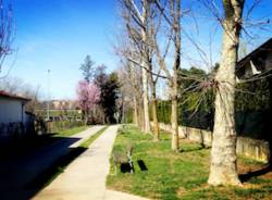 giardini pubblici gallarate parco via mameli