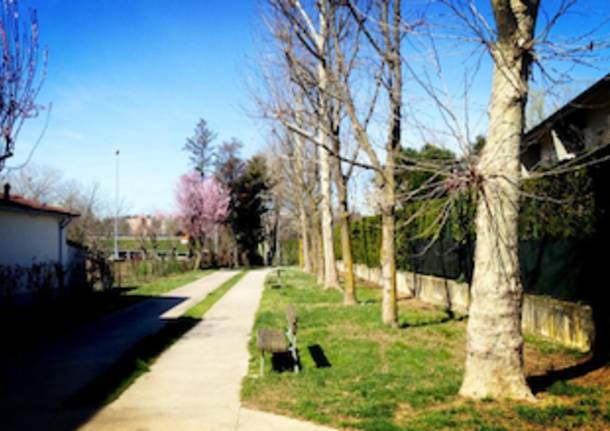 giardini pubblici gallarate parco via mameli