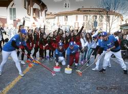 Il Carnevale di Sesto Calende (inserita in galleria)