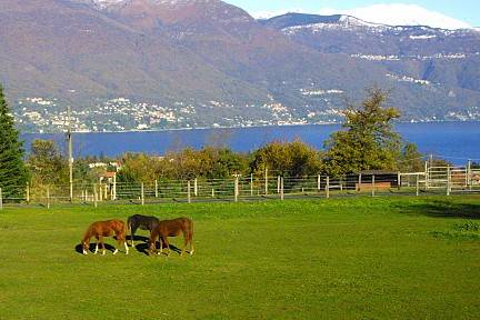 Il ranch di Daniele Santucci a Castelveccana (inserita in galleria)