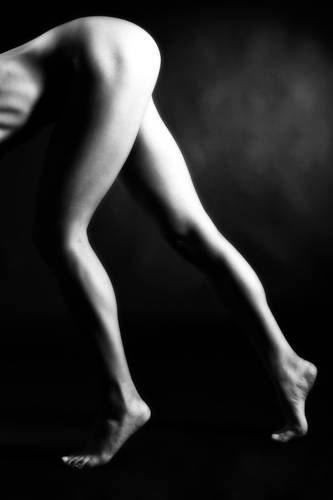 Legs