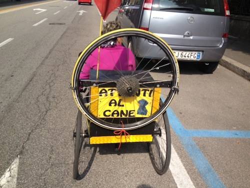 Un cane in bicicletta (inserita in galleria)