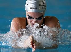 arianna castiglioni nuoto team insubrika rana 2014