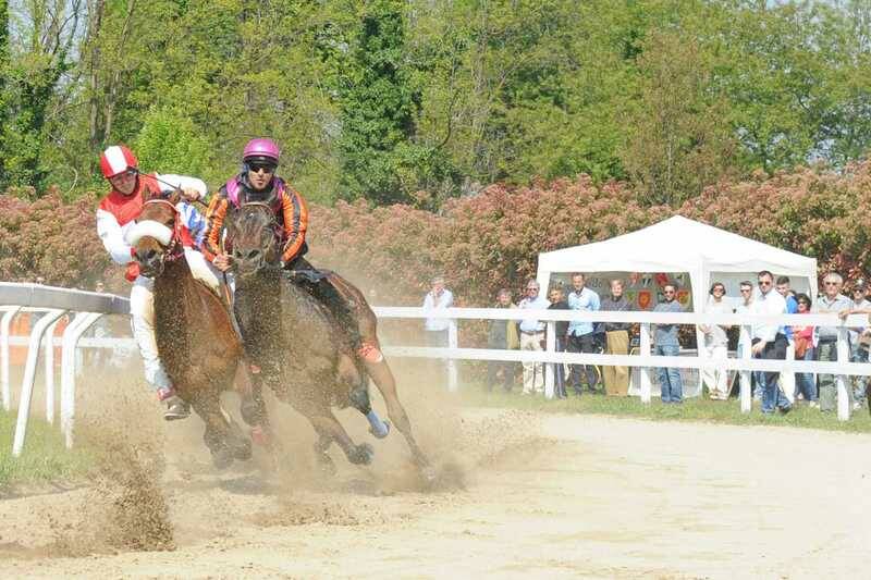 DSC 1650