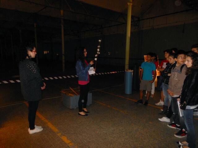 DSCN4196