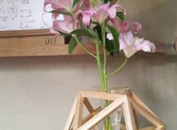 Due varesini al Fuorisalone 2014 con "Eidos"  (inserita in galleria)