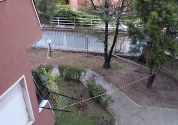 incidente caduta via sciesa