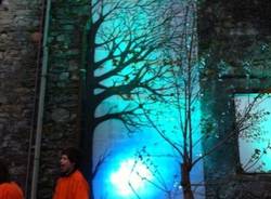 L'albero della pace a Casciago (inserita in galleria)