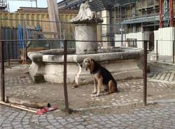 L'Aquila a cinque anni dal terremoto (inserita in galleria)