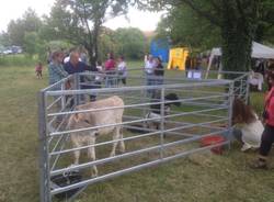 Agrifest 2014, un successo tra animali, torte e divertimento (inserita in galleria)