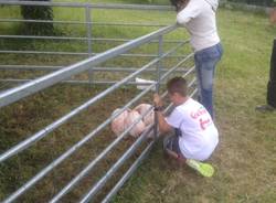 Agrifest 2014, un successo tra animali, torte e divertimento (inserita in galleria)