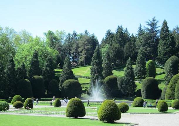 Cartolina da Varese