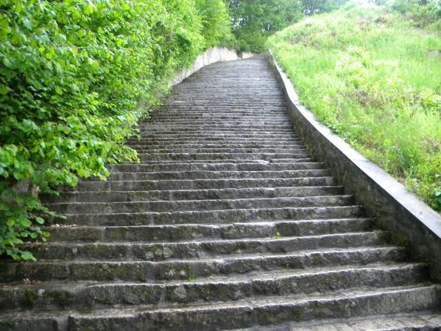 DSCN2261