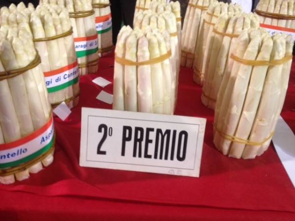 Festa dell'Asparago a Cantello (inserita in galleria)