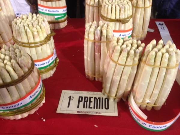 Festa dell'Asparago a Cantello (inserita in galleria)
