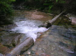 Fiume Olona, scarichi a cielo aperto in Via Fiume  (inserita in galleria)