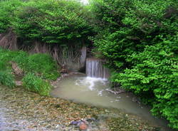 Fiume Olona, scarichi a cielo aperto in Via Fiume  (inserita in galleria)