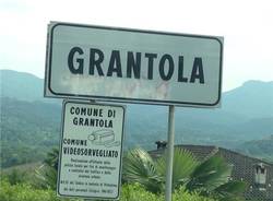 Grantola al voto (inserita in galleria)