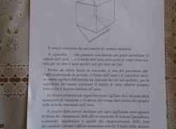 I varesini al voto (inserita in galleria)