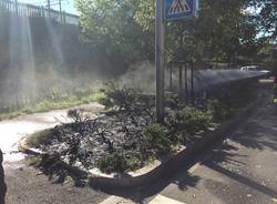 Incendio vicino all'Esselunga a Gallarate (inserita in galleria)