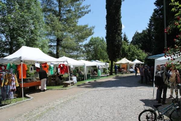 La Fiera del Des a Malnate (inserita in galleria)