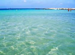 Le spiagge "Bandiera Blu" (inserita in galleria)