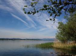 Panorami di lago (inserita in galleria)