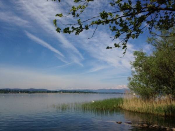 Panorami di lago (inserita in galleria)