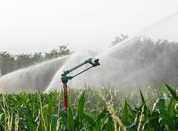 agricoltura irrigazione campi