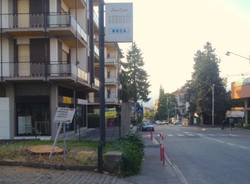 albero abbattuto viale borri pino marittimo (per gallerie fotografiche)