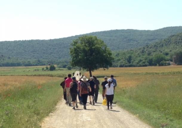 La via Francigena da San Gimignano a Siena (inserita in galleria)