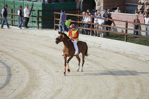 Palio di Legnano, il fotoracconto della corsa (inserita in galleria)