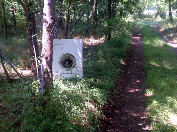 Quanti rifiuti nei boschi di Busto Arsizio (inserita in galleria)