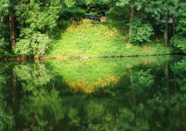 riflessi nel lago di Brinzio