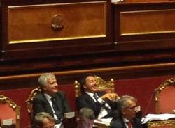 Scontro Candiani-Renzi in Senato (inserita in galleria)