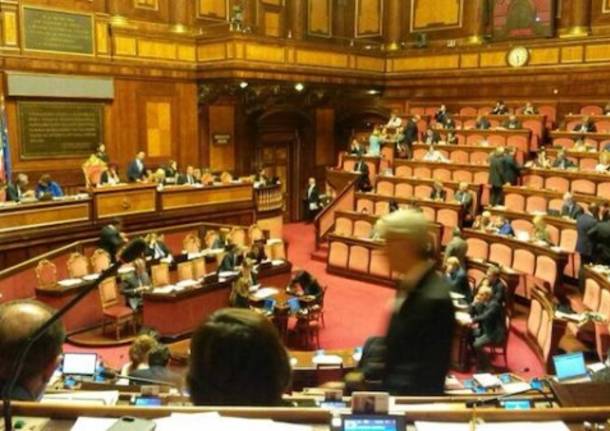 Scontro Candiani-Renzi in Senato (inserita in galleria)