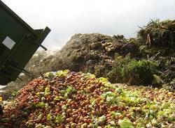 sprechi spreco alimentare cibo buttato