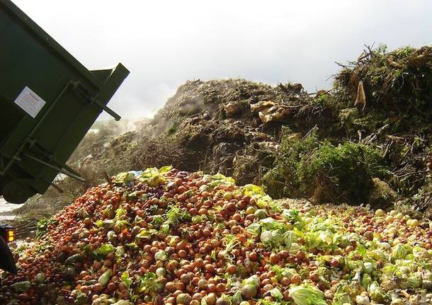 sprechi spreco alimentare cibo buttato